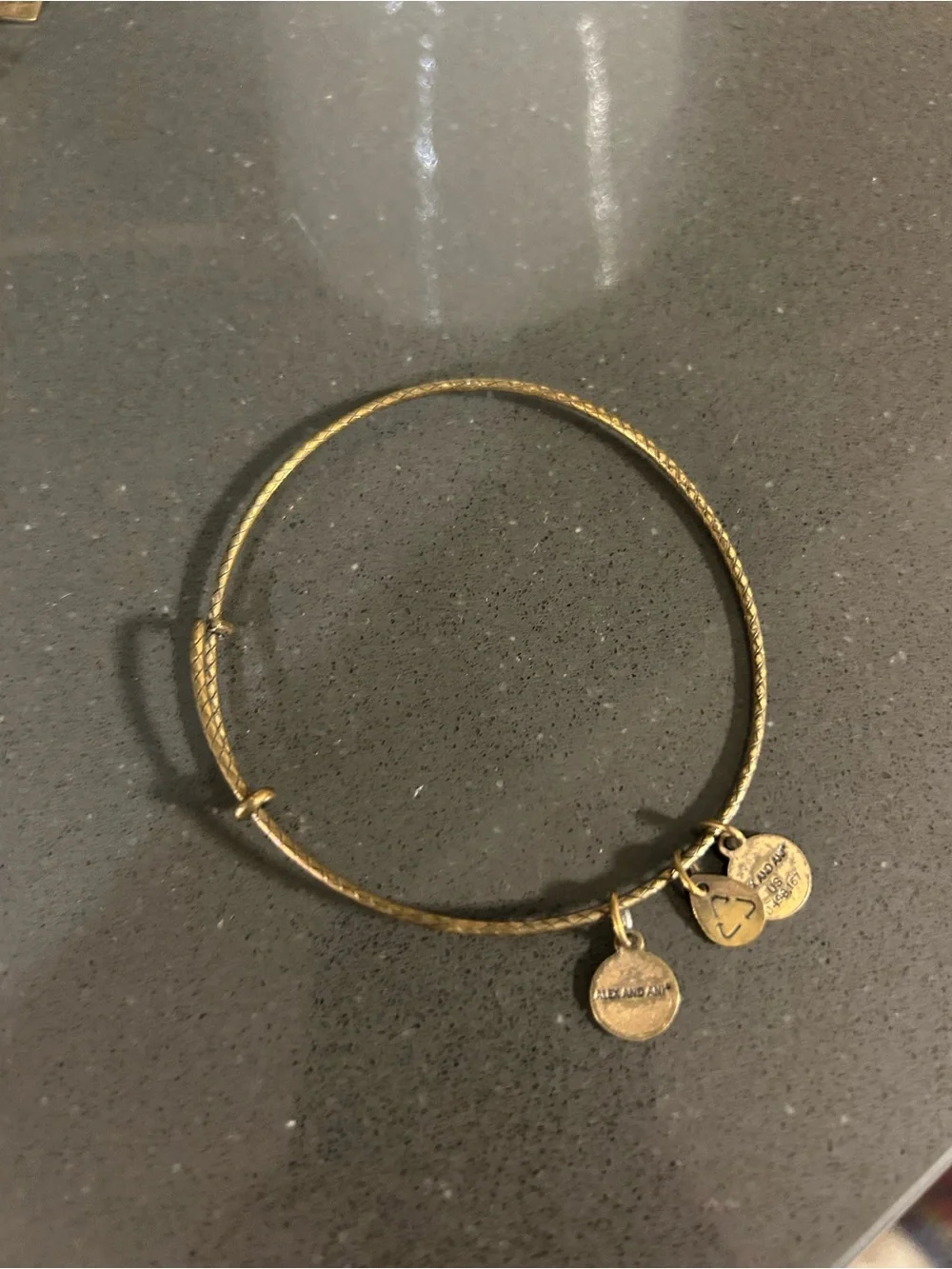 Alex and Ani Classic Gold-Tone Charm Bangle Bracelet